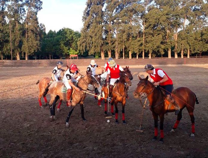 Argentina Polo Holidays | Is Arena Polo Strategy Different from Grass Polo, and Why?