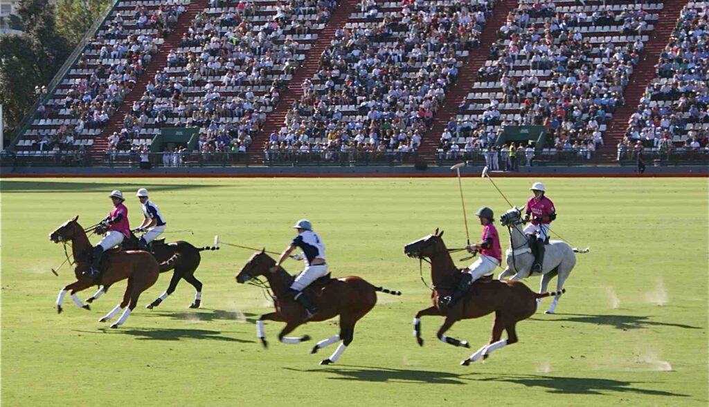 Argentina Polo Holidays|Polo Travel Agency