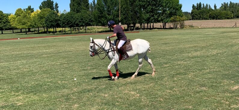 man playing polo