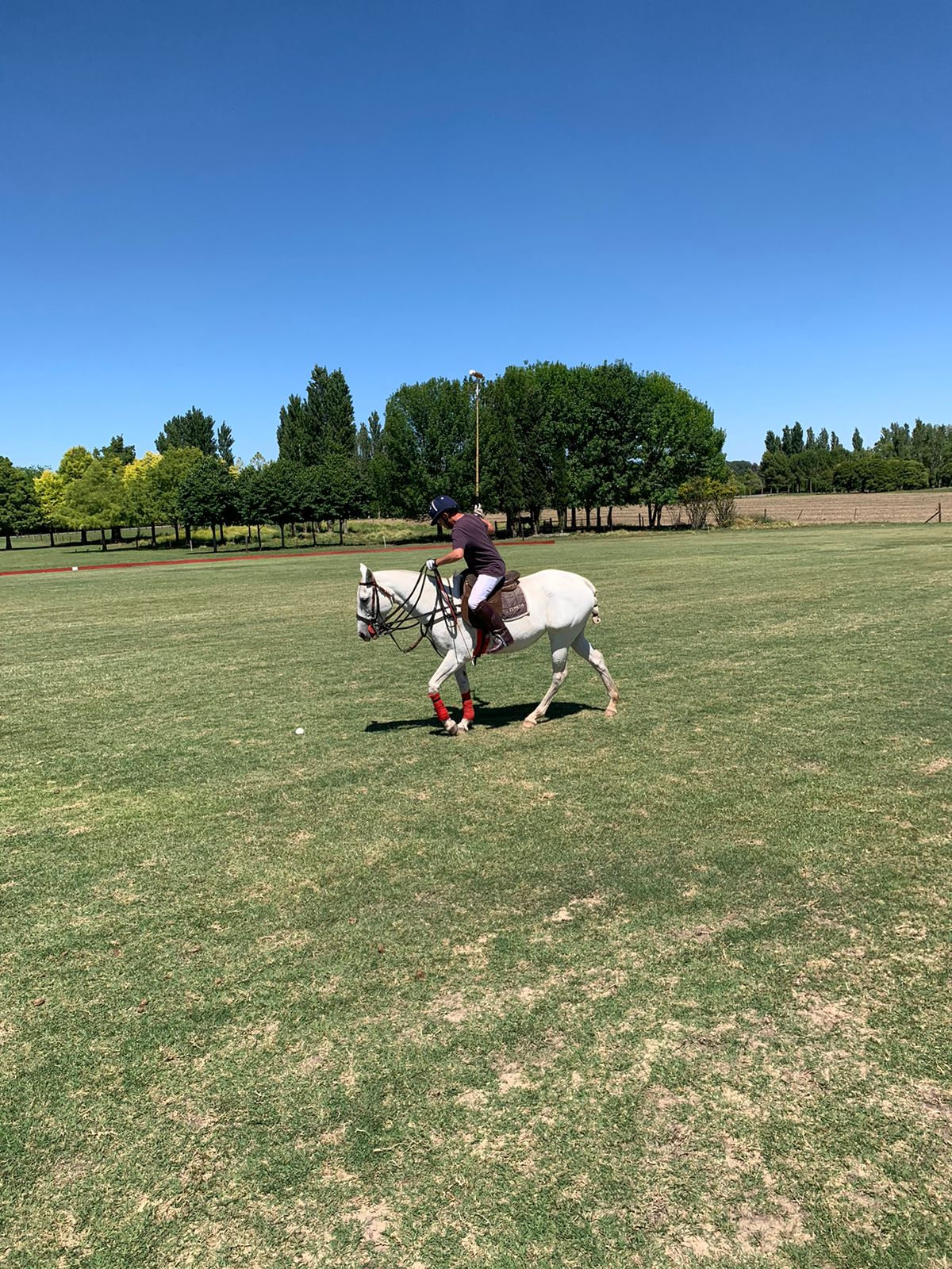 man playing polo