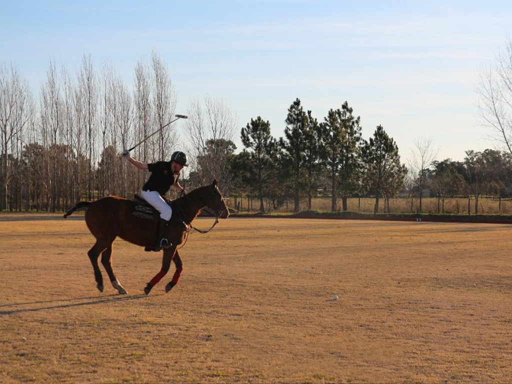 Argentina Polo Holidays | Argentina Polo Day´s new unique experience for polo lovers