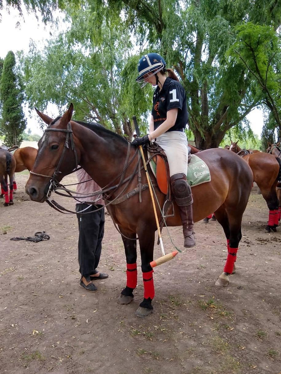 Polo Holidays